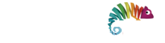 WebFormas - Agência de Digital em SP